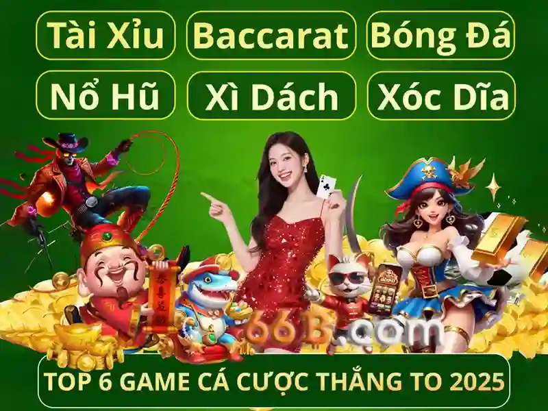chính sách bảo mật 66B