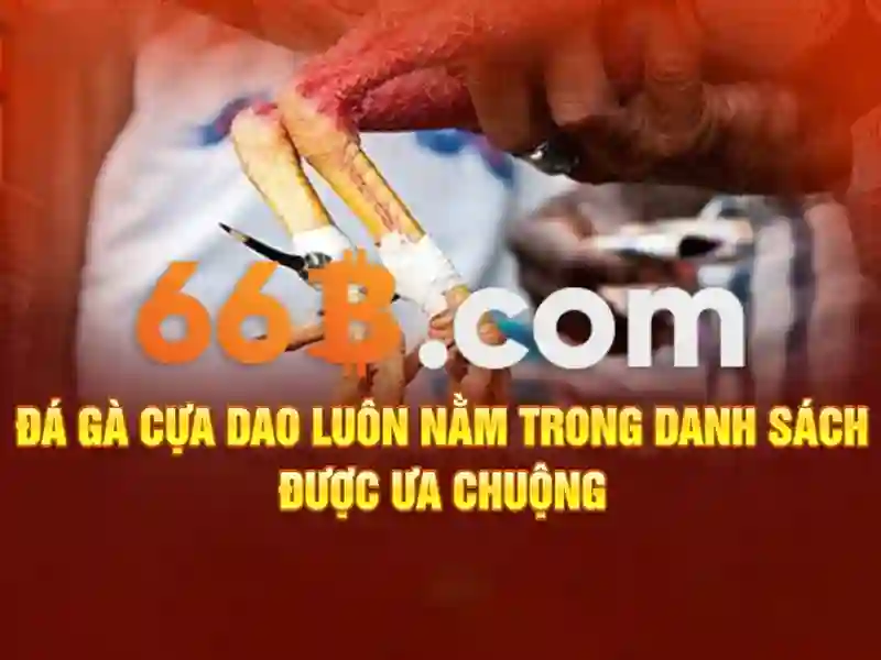 Giới Thiệu Về 66B