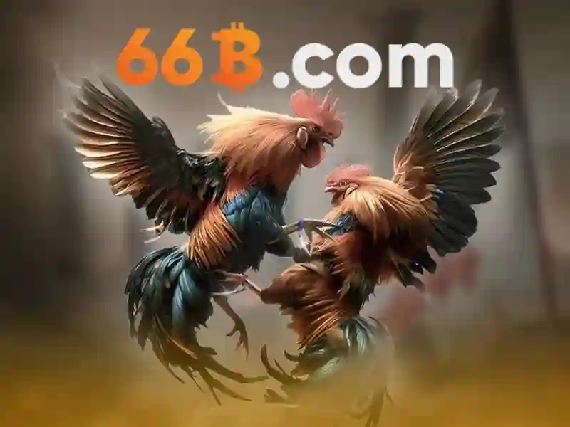 Kinh Nghiệm Từ Người Chơi Code 66B Slot 2026