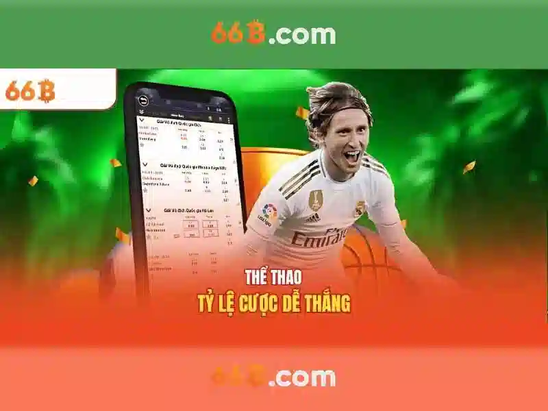 Tại Sao Nên Chọn Cờ Caro 66B