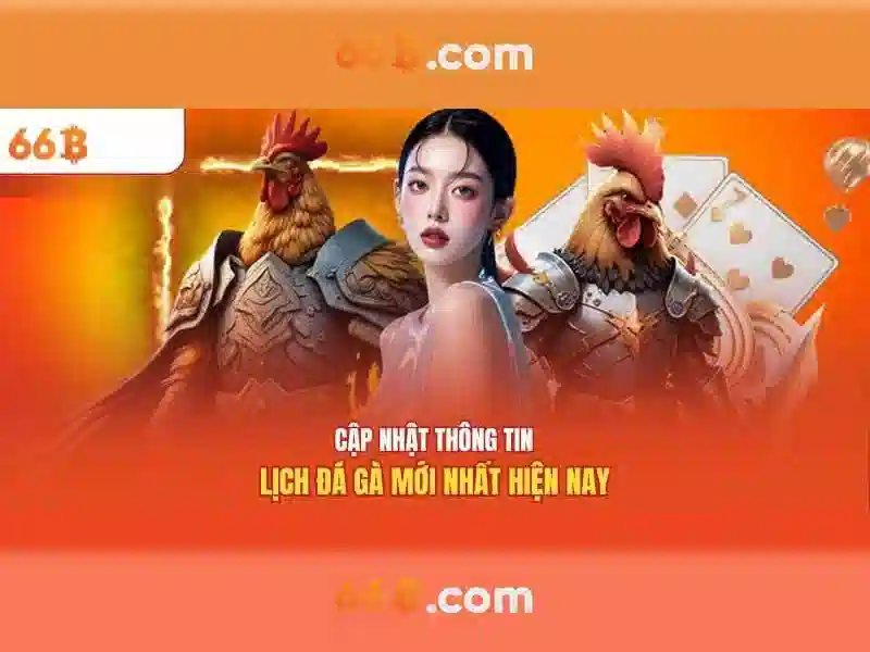 Phương Thức Liên Hệ 66B