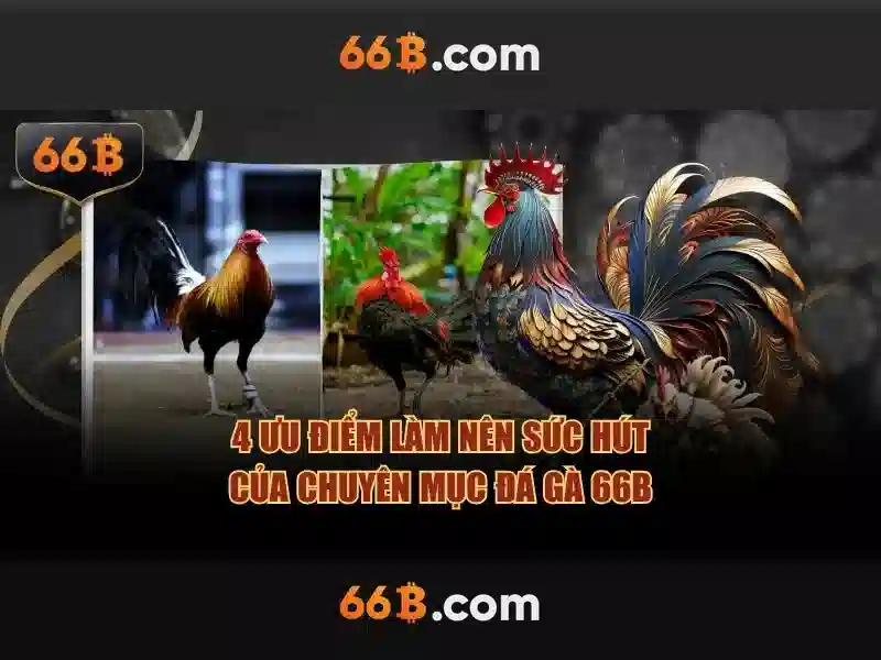 ưu đãi 66B