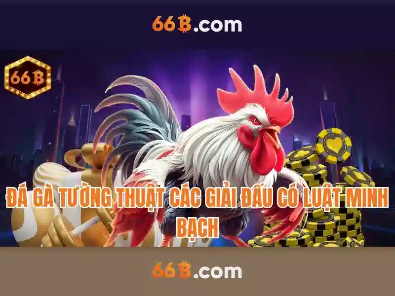 Bảo Mật 66B