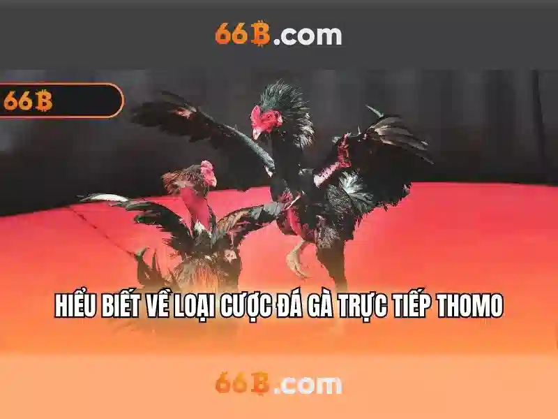 quản lý tài khoản 66B