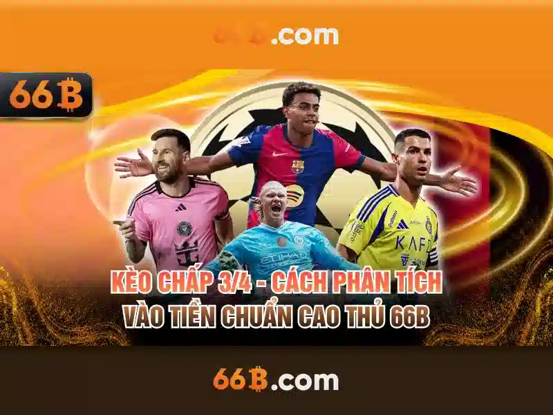 quyền riêng tư 66B