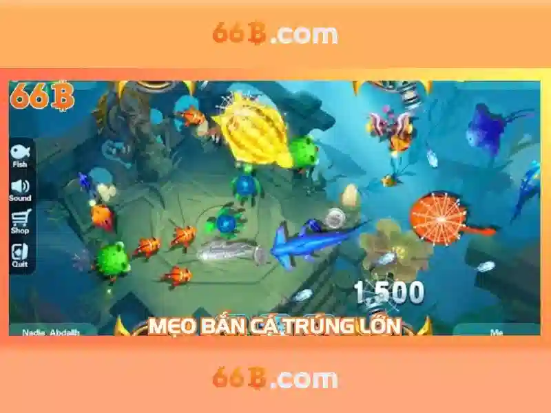 Tại Sao Nên Chọn 66B