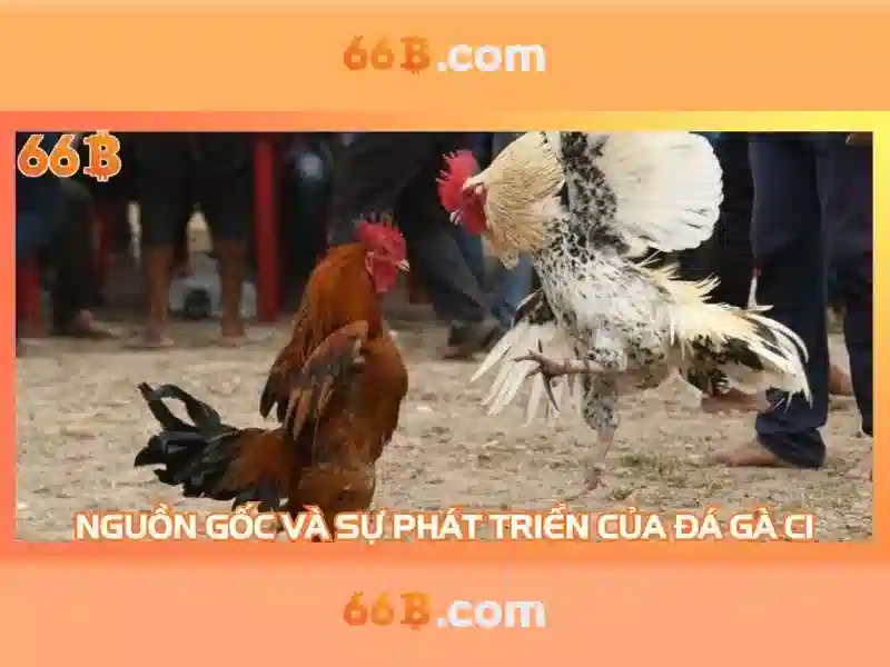 Tải App 66B