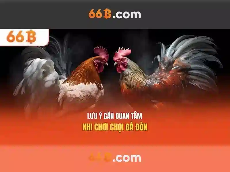 Trải Nghiệm Người Dùng