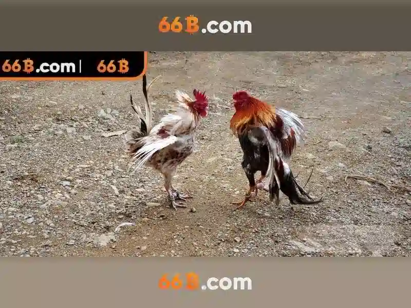 Quản Lý Tài Chính Giao Dịch 66B