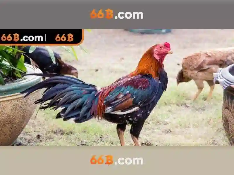 ưu điểm thưởng Slot 66B