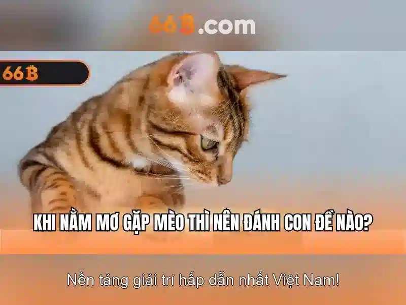 giao dịch 66b
