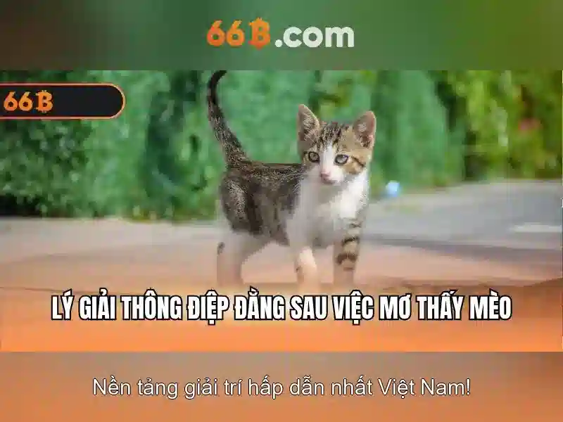 Giới Thiệu Về 66B Slot