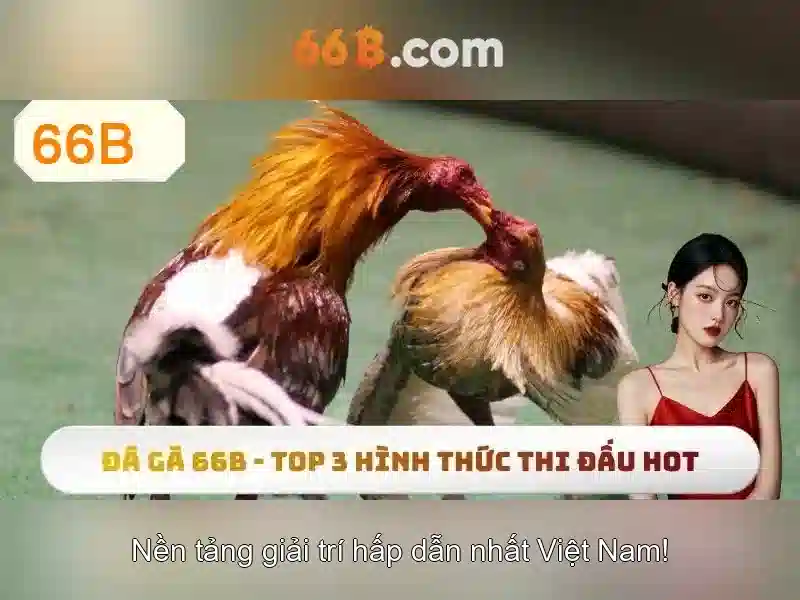 Trang Chủ 66B