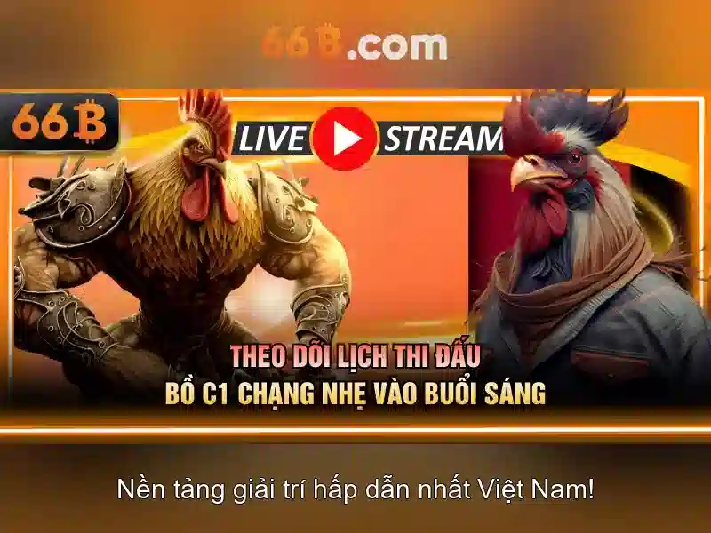 liên hệ 66B