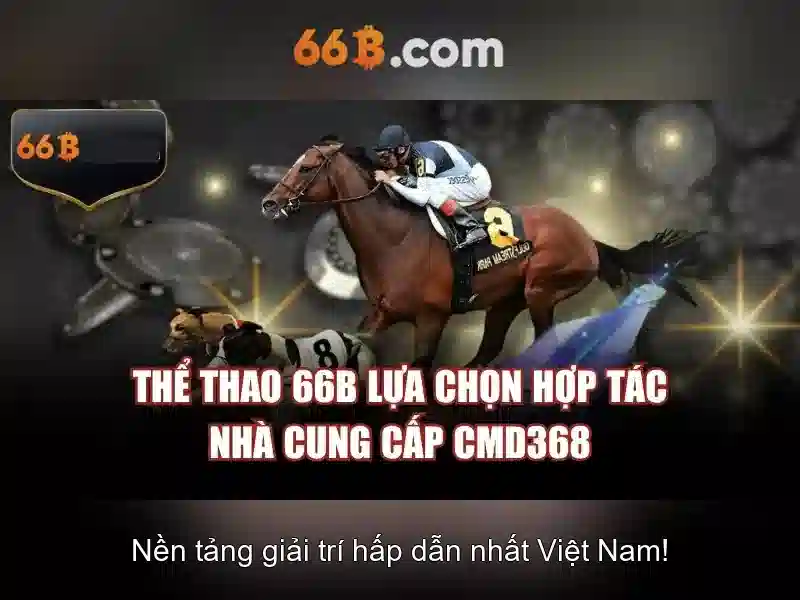 nhập thông tin rút tiền 66B