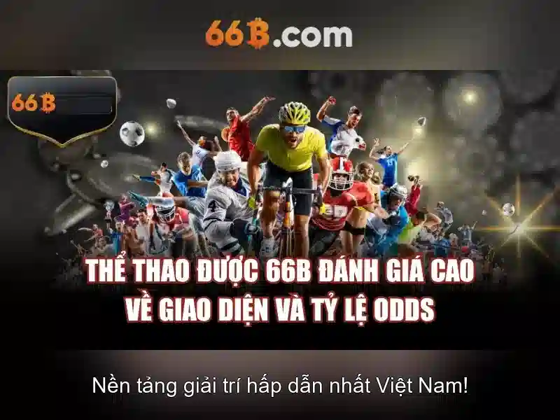 66B Chính Thức
