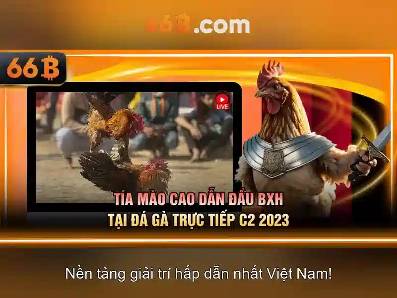 phương thức liên hệ 66B