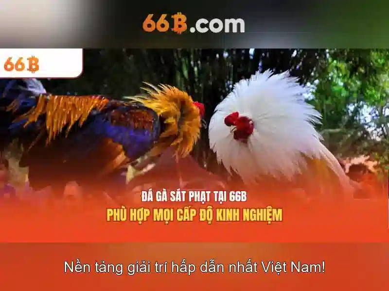 Kinh nghiệm chơi tài xỉu 66B cho người mới