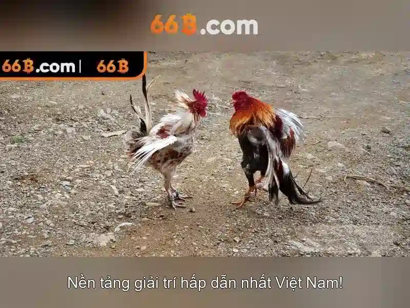 Công Nghệ Bảo Mật 66B