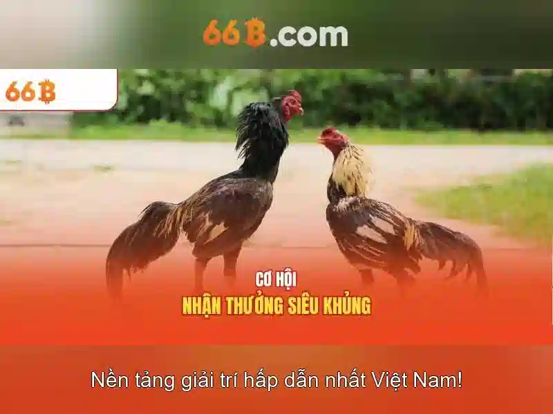 Các Phương Thức Liên Lạc Chính
