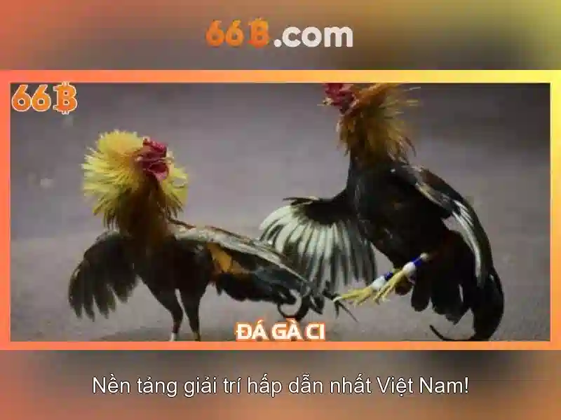 Ưu Đãi 66B: Trải Nghiệm Slot Đỉnh Cao Cho Người Chơi