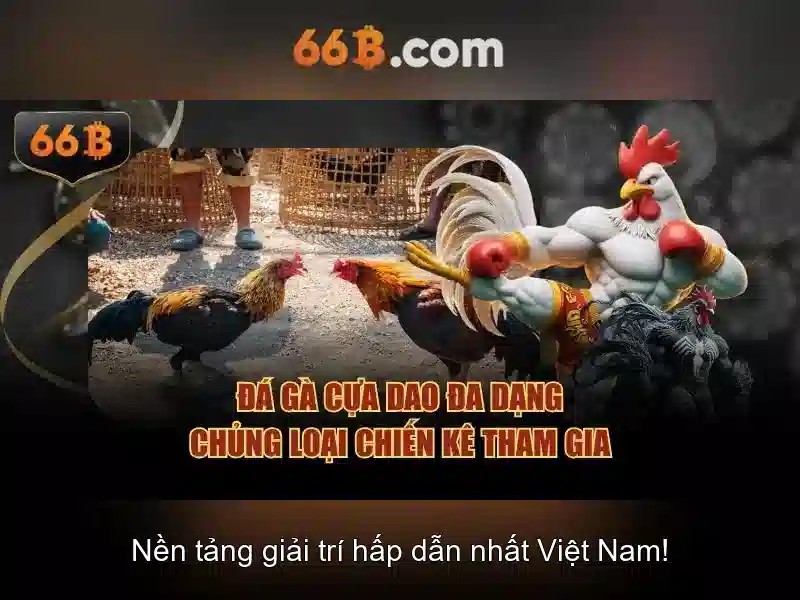 Các Bước Đăng Nhập 66B Đơn Giản
