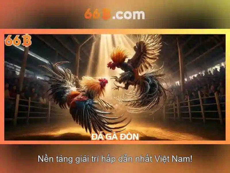 An Toàn Trong Cá Cược