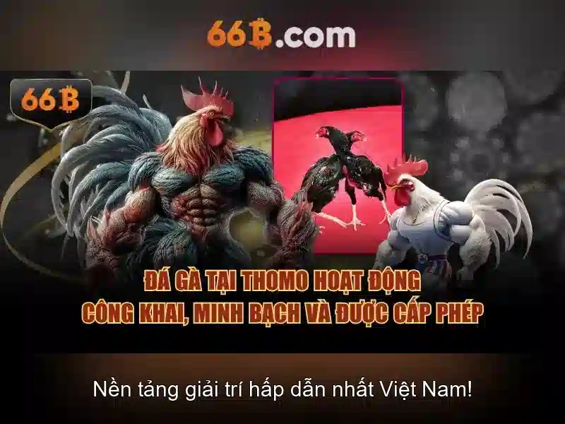 Ưu Đãi Slot