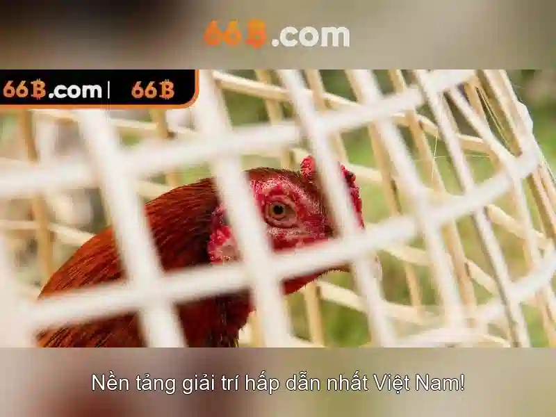 Hướng Dẫn Đăng Nhập 66B