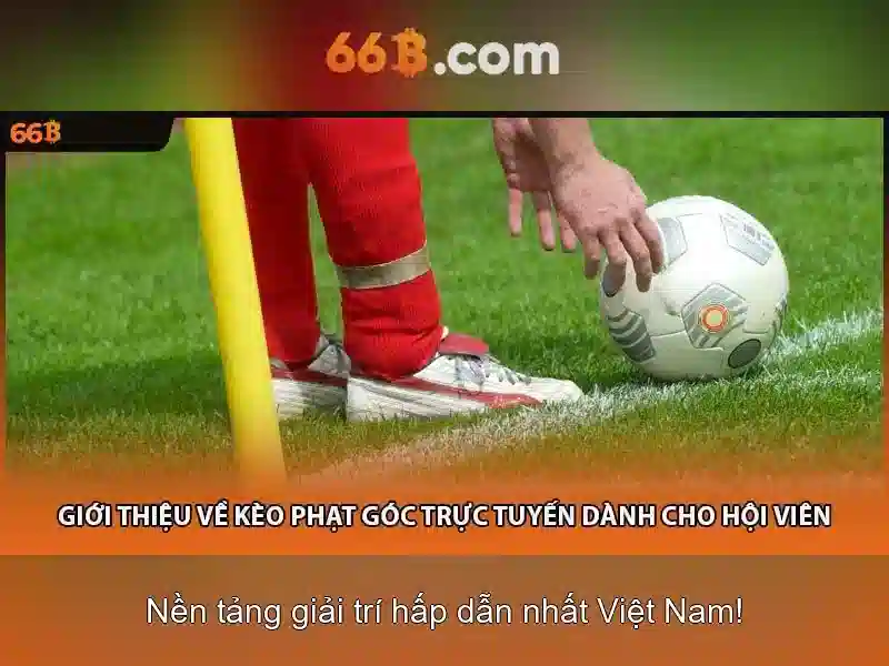 Ưu Điểm Của 66B