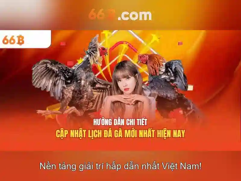 Trải nghiệm mậu binh 66b