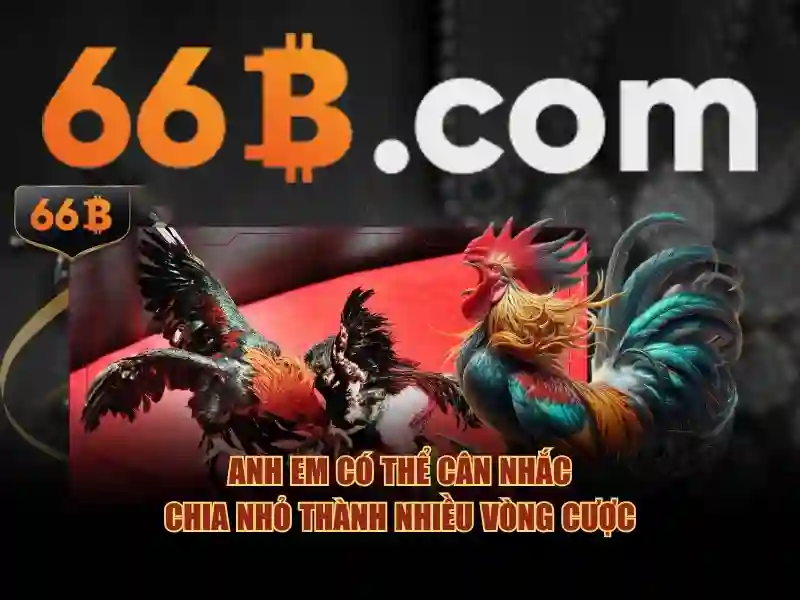 thưởng lớn 66B