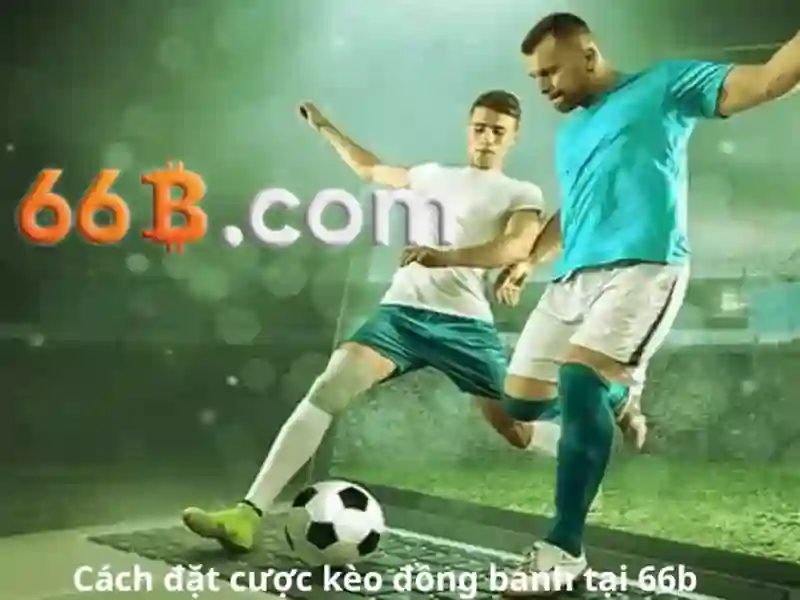 Điểm danh phương thức liên hệ 66B được triển khai