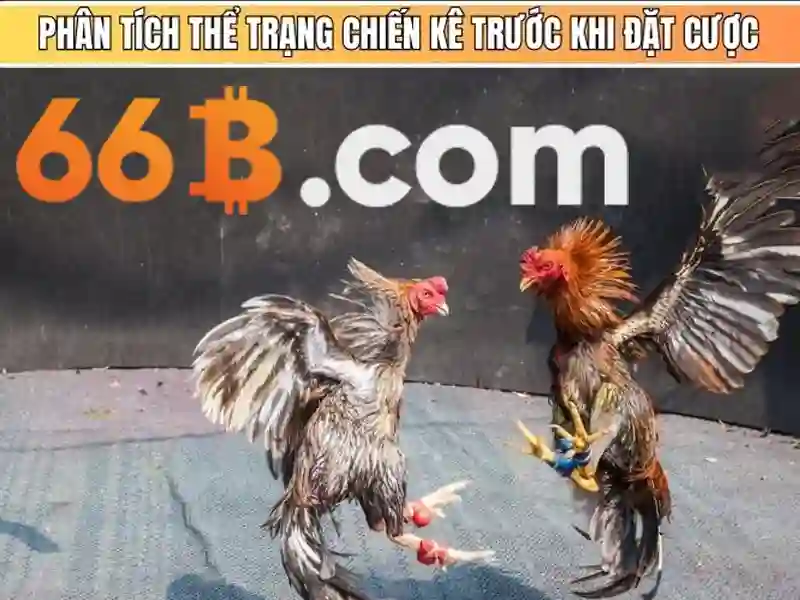 Cập nhật Slot 66B 2026