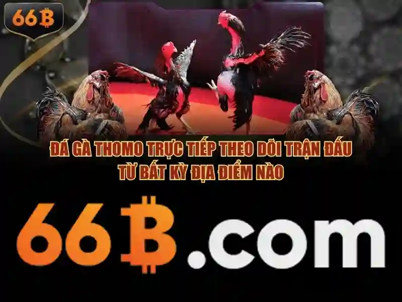 Chiến thuật chơi 66B app
