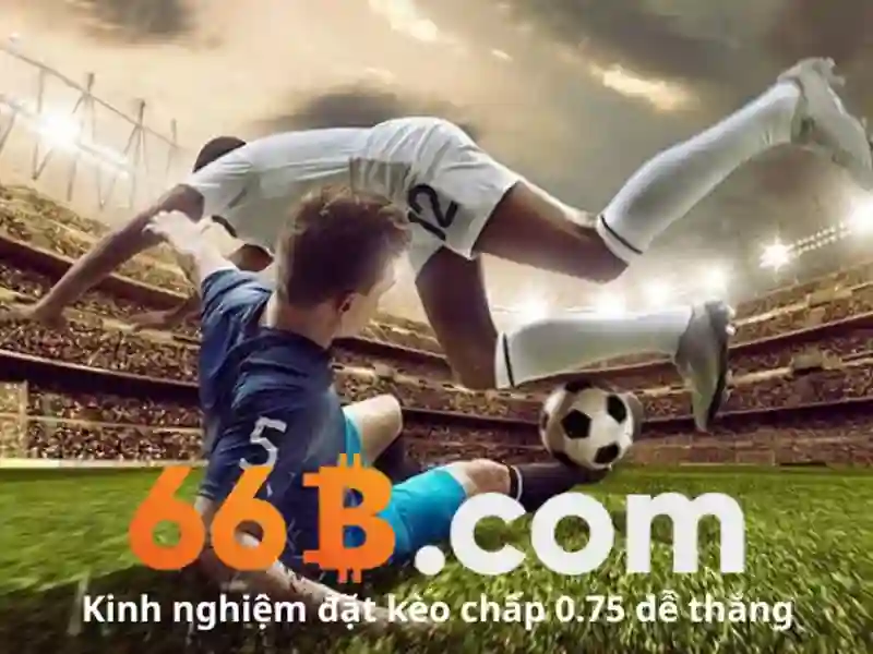 Hướng Dẫn Liên Hệ 66B
