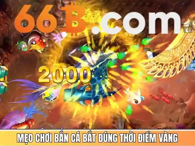 Trải Nghiệm Thật Sự Với Esport 66B