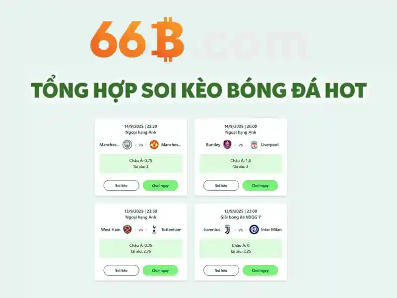 Giới Thiệu 66B