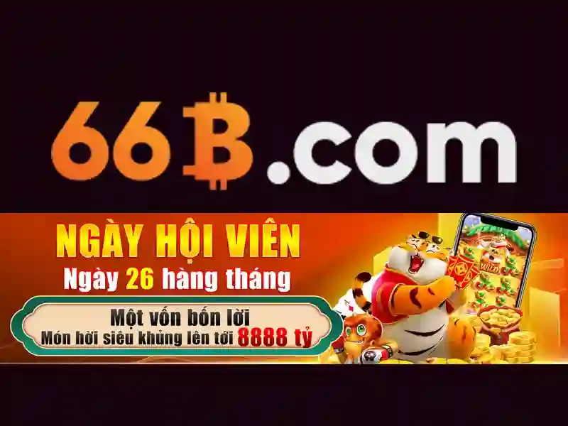 Tính Năng 66B